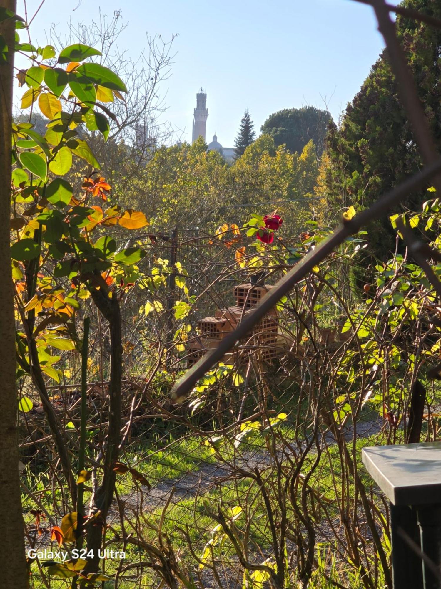 Podere Ponticini Siena Bagian luar foto